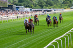 Race 5 15.38pm Al Basti Equiworld Dubai Handicap portfolio