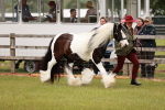 SBM_06023