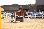 SBM_002204
