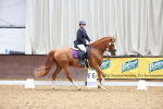 SBM_004685