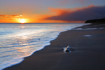 Seaham Sunrise   ref 1323