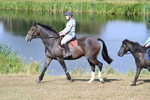 WJ7_3314