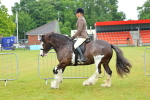SBM_00945