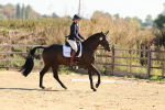 SBM_009949