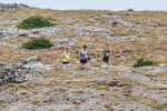 Hutton Roof-3