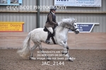 CLASS 1 Nursery Novice Working Hunter portfolio
