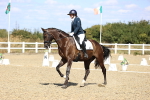 SBM_013982