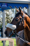 230426-Race 2-Matteo-4011