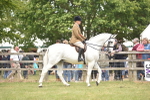SBM_15991