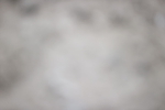 SBM_002538