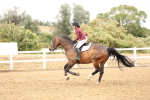 SBM_023791