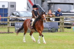 SBM_08768