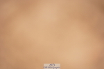 240506A-085856-07876