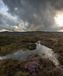 Kinder Scout