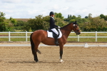 SBM_007737