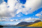 Yellow and grey
