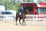 SBM_16883