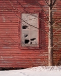 Forgotten 3 11 x 14
