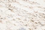 250420A-134146-00985