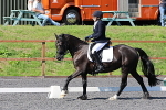SIAL0647