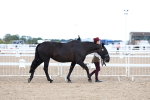 SBM_04997
