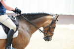 SBM_006868