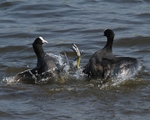 20110430-IMG_5217