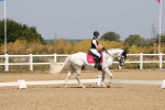 SBM_004209