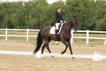 SBM_001037
