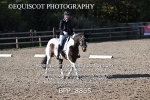 BPP_8865