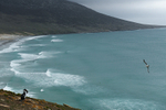 Saunders Island