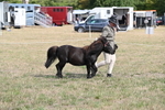 WJ6_6814