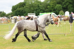 SBM_00648
