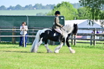 SBM_11582