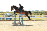SBM_006981
