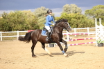 SBM_008838