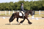 SBM_009181