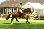 SBM_42963