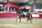 SBM_06681