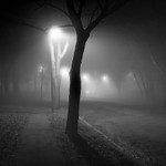 Night Lights 02