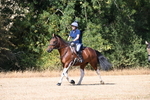 WJ6_8737