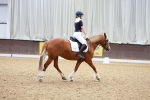 SBM_008052