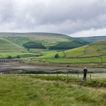 Woodhead