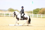 SBM_007879