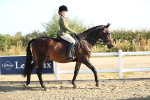 SBM_00372