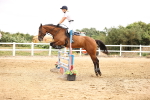 SBM_003201