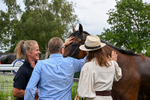 280726-Race 5-Norcross Brow-2264