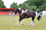 SBM_02645