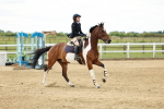 SBM_005295