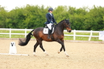 SBM_006619